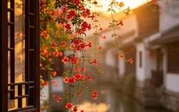 Số cuối ngày sinh Âm lịch của người vừa giỏi làm ăn vừa khéo giữ lửa gia đình