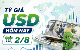 Tỷ giá USD hôm nay 2/8: Đồng Đô la Mỹ chững giá tại ngân hàng và 'chợ đen'