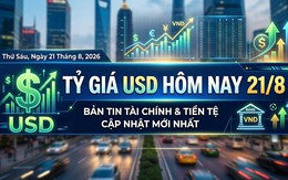 Tỷ giá USD hôm nay 21/8: Đồng Đô la Mỹ ngân hàng giảm mạnh, 'chợ đen' chững giá