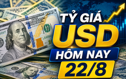 Tỷ giá USD hôm nay 22/8: Tỷ giá trung tâm chạm mức 25.600 đồng/USD
