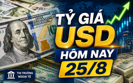 Tỷ giá USD hôm nay 25/8: Đồng Đô la Mỹ khối 'chợ đen" tăng nhẹ