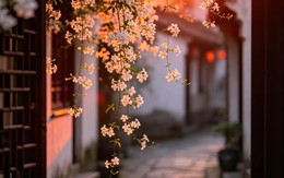 Giờ sinh Âm lịch của người có tuổi trẻ gian nan nhưng hậu vận giàu sang