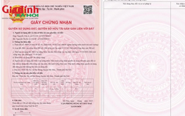 Năm 2026: Hướng dẫn làm hồ sơ cấp sổ đỏ lần đầu tại UBND xã theo quy định mới nhất