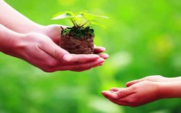 Làm ngay việc này trước khi hết tháng 7 âm lịch để bỏ lại điều không may theo quan niệm dân gian 