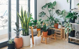 Nhà có dấu hiệu lạ và cách xua tà khí trong nhà, phòng ngủ cực dễ, hiệu quả lâu dài