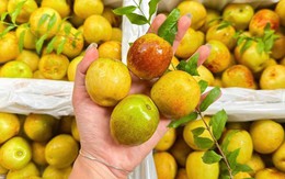 Hương vị của hồng táo tươi có gì đặc biệt mà khiến nhiều người tiêu dùng ‘đam mê’ đến vậy?