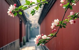 Ngày sinh Âm lịch của người có cuộc sống thuận lợi, dễ gặp người nâng đỡ