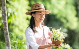 5 cung hoàng đạo này càng về trung niên càng phát tài, an nhàn hưởng phúc