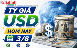 Tỷ giá USD hôm nay 3/8: Đồng Đô la Mỹ 'chợ đen' tiếp tục chững giá