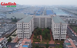 Bộ Xây dựng hướng dẫn cách tính số căn hộ ưu tiên khi mua nhà ở xã hội