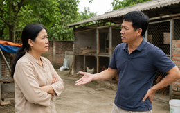 Cho anh trai mượn đất chăn nuôi, đến khi muốn bán tôi cay đắng nhận ra một điều quan trọng