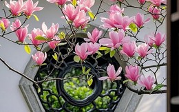 Giờ sinh Âm lịch của người có hậu vận an nhàn, sung túc