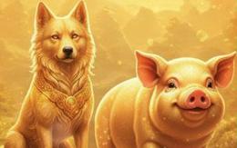 Những cặp đôi con giáp lấy nhau là kích hoạt vận may, cả đời hưởng lộc