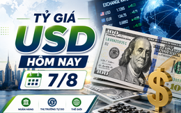 Tỷ giá USD hôm nay 7/8: Tỷ giá trung tâm tại Ngân hàng Nhà tiếp tục lập đỉnh
