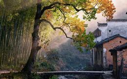 Giờ sinh Âm lịch của người được quý nhân nâng đỡ cuối năm, tiền bạc tràn về liên tục