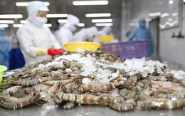 Một ngành hàng mũi nhọn của Việt Nam ghi nhận con số xuất khẩu cả tỉ USD chỉ trong một tháng