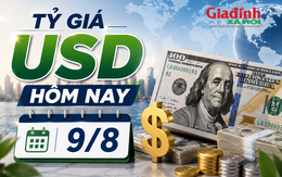 Tỷ giá USD hôm nay 9/8: Đồng Đô la Mỹ 'chợ đen' tiếp tục giảm, khối ngân hàng chững giá
