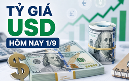 Tỷ giá USD hôm nay 1/9