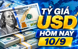 Tỷ giá USD hôm nay 10/9: Đồng Đô la Mỹ vẫn chịu nhiều áp lực