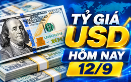 Tỷ giá USD hôm nay 12/9: Đồng Đô la Mỹ 'chợ đen' chững giá