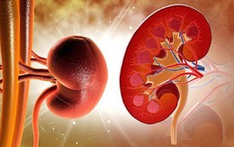 4 thói quen buổi tối làm tăng nguy cơ suy thận, người Việt thay đổi càng sớm càng tốt