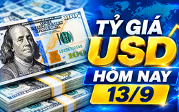 Tỷ giá USD hôm nay 13/9: Đồng Đô la Mỹ khối ngân hàng và 'chợ đen' trầm lắng