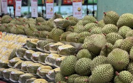 Sầu Black Thorn và Musang King có gì đặc biệt mà cả hai đều có giá 'siêu' đắt trên thị trường?