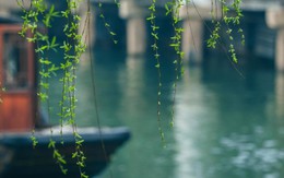 Giờ sinh Âm lịch của những người chăm chỉ nhất, hậu vận hái quả ngọt