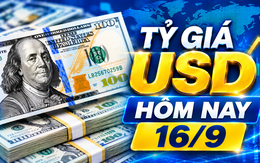Tỷ giá USD hôm nay 16/9: Đồng Đô la Mỹ tự do bán ra ở vùng 26.028 đồng/USD