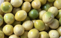 Loại quả được ví là ‘vua chất xơ’ bán đầy chợ Việt giá vài chục nghìn đồng/kg, chị em thi nhau mua