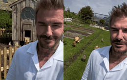 David Beckham gây chú ý, hé lộ một góc biệt thự