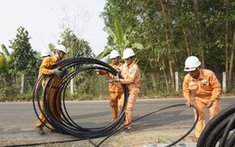 Lịch cúp điện Lâm Đồng (Bình Thuận cũ) từ ngày 16 - 20/9/2026: Số lượng khu dân cư bị cúp điện cao đột biến