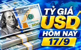 Tỷ giá USD hôm nay 17/9: Đồng Đô la Mỹ phục hồi mạnh