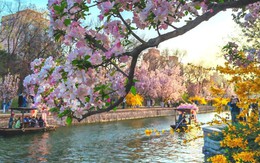 Ngày sinh Âm lịch của người khôn ngoan, sắc sảo