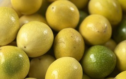 Loại chanh vỏ vàng óng, có hương thơm của ổi đang được chị em thi nhau 'săn đón' trên thị trường