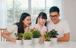 Top cung hoàng đạo nam là người chồng, người cha tận tụy