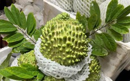 Loại na đặc biệt quả to tới 2kg, thịt dày, ít hạt, vị ngọt béo tốt cho sức khỏe