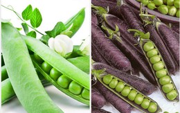 Loại thực phẩm giúp nhuận tràng, ngăn ngừa táo bón