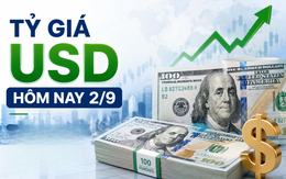 Tỷ giá USD hôm nay 2/9: Đồng Đô la Mỹ ‘chợ đen’ bán ra 26.031 đồng/USD