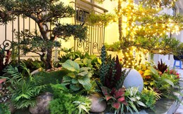Muốn tài lộc, sức khỏe tốt nên chọn cây và chậu cảnh theo cách sau
