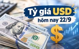 Tỷ giá USD hôm nay 22/9: Đồng Đô la Mỹ 'chợ đen' trầm lắng kéo dài