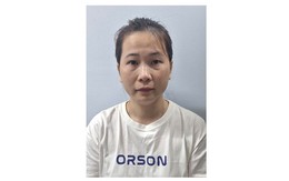 Nhân viên ngân hàng Trần Thị Cẩm Hoa lừa đảo chiếm tiền tỷ, ai là nạn nhân cần liên hệ làm việc ngay với Công an