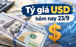 Tỷ giá USD hôm nay 23/9: Tỷ giá trung tâm chạm mức 25.640 đồng/USD
