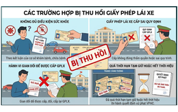 4 trường hợp bị thu hồi giấy phép lái xe, hàng triệu người cần chú ý
