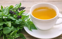 Công dụng của uống nước húng quế thường xuyên