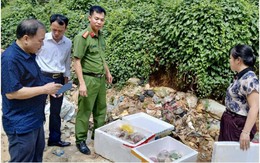 Xử lý 17 vụ vi phạm thị trường dịp Tết Trung thu