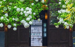 Tháng sinh Âm lịch của người có tính cách ấm áp, sống khiêm nhường nên dễ gặp quý nhân