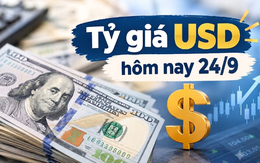 Tỷ giá USD hôm nay 24/9: Đồng Đô la Mỹ trong nước giảm
