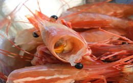 Nên ăn hay bỏ đầu tôm?