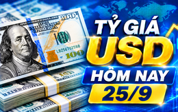 Tỷ giá USD hôm nay 25/9: Đồng Đô la Mỹ lập đỉnh mới, thị trường trong nước vẫn im ắng 